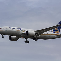 Buy canvas prints of United Airlines Boeing 787 by David Pyatt