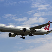 Buy canvas prints of Turkish Airlines Boeing 777 by David Pyatt