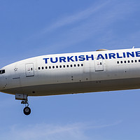 Buy canvas prints of Turkish Airlines Boeing 777 by David Pyatt