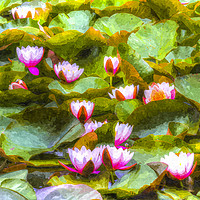 Buy canvas prints of Water Lily Art by David Pyatt