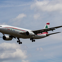 Buy canvas prints of Middle Eastern Airlines Airbus A330 by David Pyatt