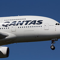 Buy canvas prints of Qantas Airbus A380 by David Pyatt