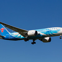 Buy canvas prints of China Southern Airlines Boeing 787 by David Pyatt