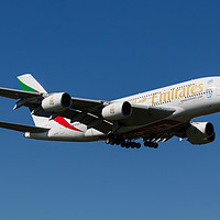 Buy canvas prints of Emirates Airbus A380 by David Pyatt