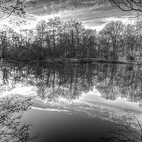 Buy canvas prints of Early Morning Forest Pond by David Pyatt