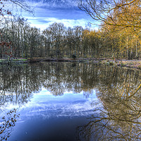 Buy canvas prints of Early morning Forest Pond by David Pyatt