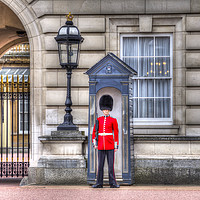 Buy canvas prints of Buckingham Palace Queens Guard by David Pyatt