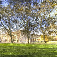 Buy canvas prints of Buckingham Palace Art Panorama by David Pyatt