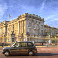 Buy canvas prints of London Taxi And Buckingham Palace  by David Pyatt