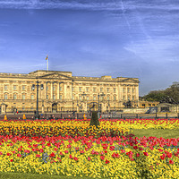 Buy canvas prints of Buckingham Palace London Panorama by David Pyatt