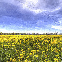 Buy canvas prints of Yellow Fields Of Summer Art by David Pyatt