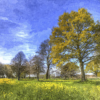 Buy canvas prints of Summer Farm Trees Art by David Pyatt