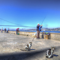 Buy canvas prints of Fishermen And Cats Istanbul by David Pyatt