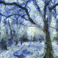 Buy canvas prints of The Blue Forest Art by David Pyatt