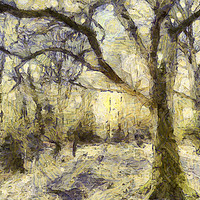 Buy canvas prints of Sunrise Forest Art by David Pyatt