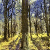Buy canvas prints of Vincent Van Gogh Forest Art by David Pyatt
