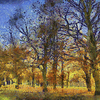 Buy canvas prints of Sunset Trees Art by David Pyatt