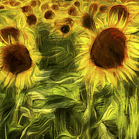 Buy canvas prints of Sunflowers Abstract Van Gogh by David Pyatt