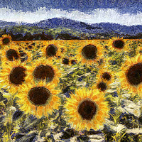 Buy canvas prints of Starry Night Sunflowers Van Gogh by David Pyatt