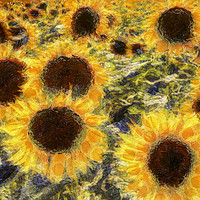 Buy canvas prints of Sunflowers Summer Van Gogh by David Pyatt