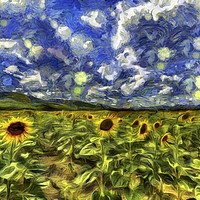 Buy canvas prints of Sunflower Field Van Gogh by David Pyatt