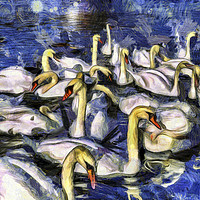 Buy canvas prints of Swans Vincent Van Gogh by David Pyatt