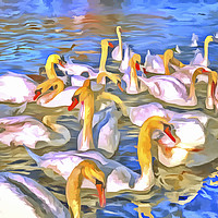 Buy canvas prints of Swans Pop Art by David Pyatt