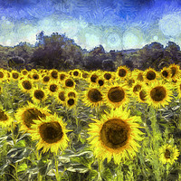 Buy canvas prints of Sunflowers Van Goth by David Pyatt