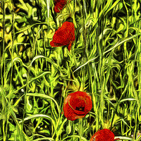 Buy canvas prints of Van Gogh Poppys by David Pyatt
