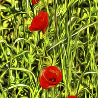 Buy canvas prints of Poppys Van Gogh Art by David Pyatt