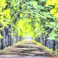 Buy canvas prints of Forest Path Watercolour by David Pyatt