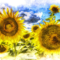 Buy canvas prints of Sunflowers Art by David Pyatt