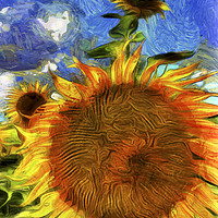 Buy canvas prints of Sunflowers Van Gogh Art by David Pyatt