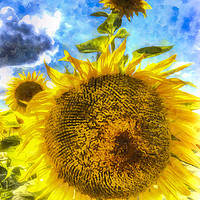 Buy canvas prints of Summer Sunflowers Art by David Pyatt