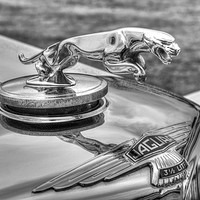 Buy canvas prints of Jaguar Classic Car by David Pyatt