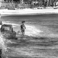 Buy canvas prints of Barbados Beach Vendor by David Pyatt