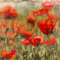 Buy canvas prints of  Poppy's Pastel Art by David Pyatt