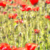 Buy canvas prints of Monet Poppy Meadow by David Pyatt