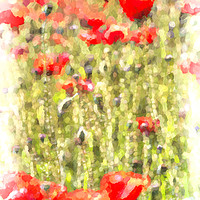 Buy canvas prints of Poppy Meadow Monet by David Pyatt