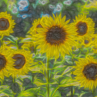 Buy canvas prints of Art Of The Sunflower by David Pyatt