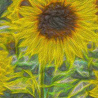 Buy canvas prints of Art Of The Single Sunflower by David Pyatt