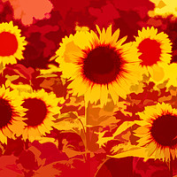 Buy canvas prints of Sunflowers Field Of Fire by David Pyatt