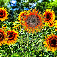 Buy canvas prints of Sunflowers Stained Glass by David Pyatt