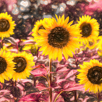 Buy canvas prints of Sunflower Vibrant Art by David Pyatt