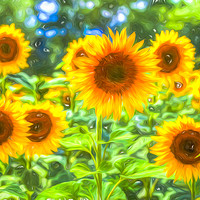 Buy canvas prints of Dreams Of Sunflowers  by David Pyatt