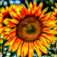 Buy canvas prints of Single Sunflower Art by David Pyatt