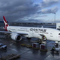 Buy canvas prints of Qantas Boeing 787  by David Pyatt