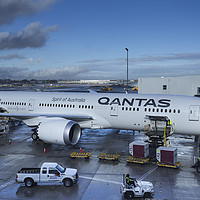 Buy canvas prints of Qantas Boeing 787 Dreamliner by David Pyatt