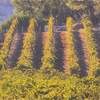 Buy canvas prints of Art Of The Vineyard by David Pyatt