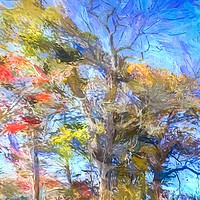 Buy canvas prints of Sleepy Hollow Autumn Art by David Pyatt